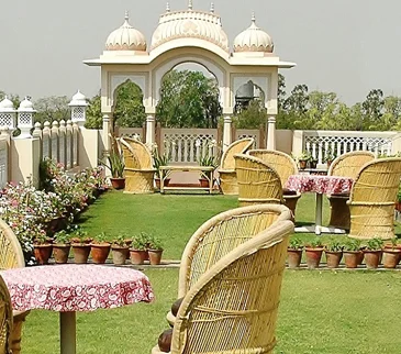 Jaipur College Girl Escorts